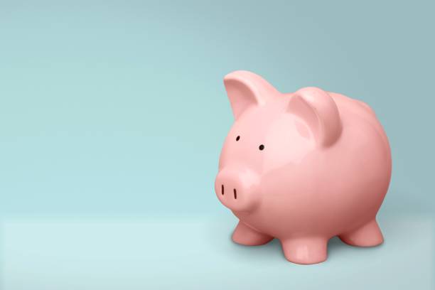 istock Piggy bank. 1175050696