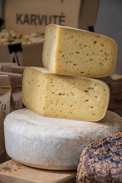 istock Homemade bio natural cheese 1175051712