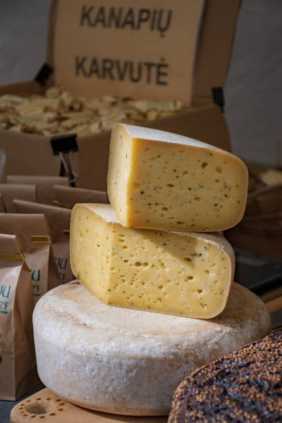 istock Homemade bio natural cheese 1175051723