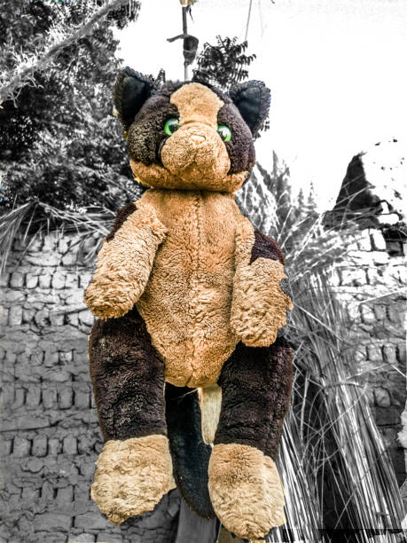 a bear toy is hanging by a rope