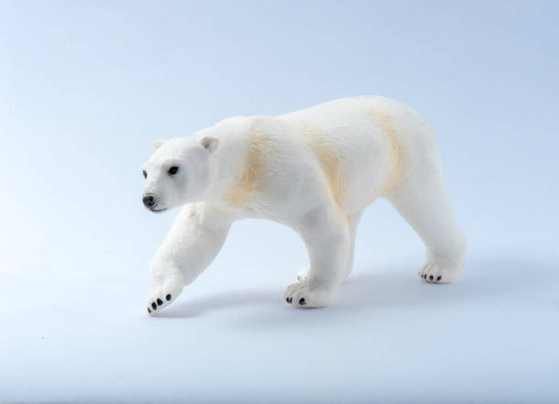 istock Toy Polar Bear On White background 1175053693