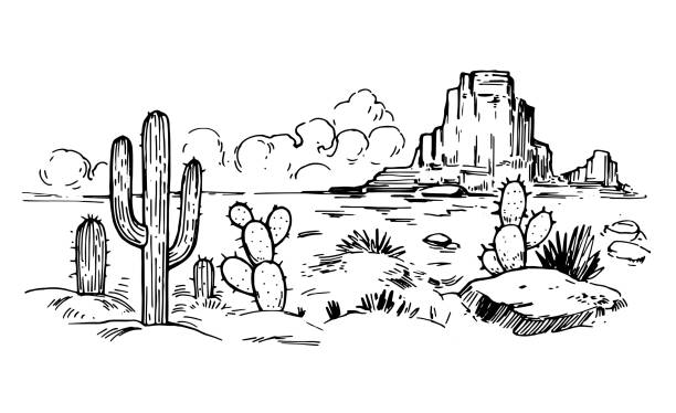 эскиз пустыни америки с кактусами. пейзаж прерии. иллюстрация вектора, нарисованная вручную - arizona desert mountain american culture stock illustrations