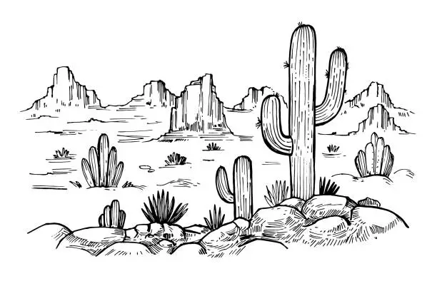 Vector illustration of Sketch of the desert of America with cacti. Prairie landscape. Hand drawn vector illustration