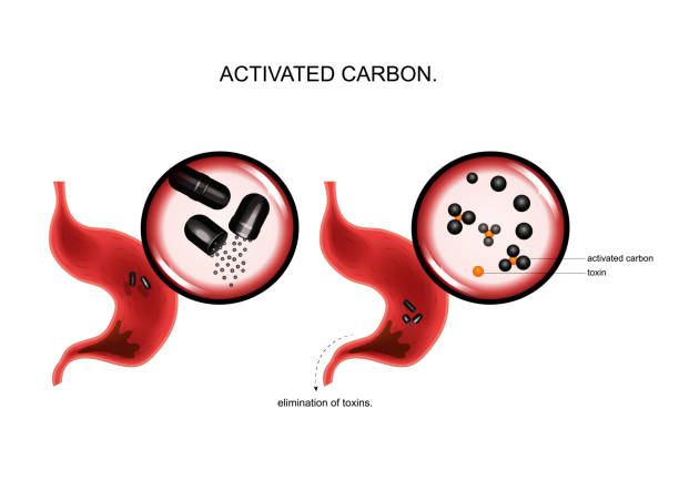 działanie węgla aktywnego na toksyny w żołądku. - gaster stock illustrations
