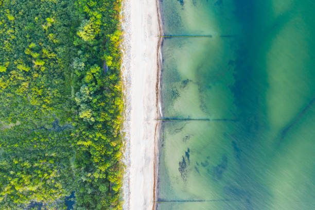 istock sea, beach and mangroves 1175056573
