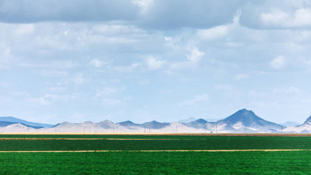 istock Farmland green fields - Arizona 1175057694
