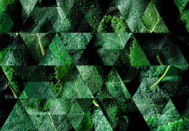 Abstract triangle mosaic background: Wet birch tree leaves background
