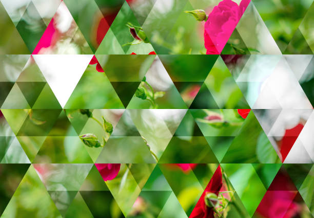 Abstract triangle mosaic background: Wild red roses