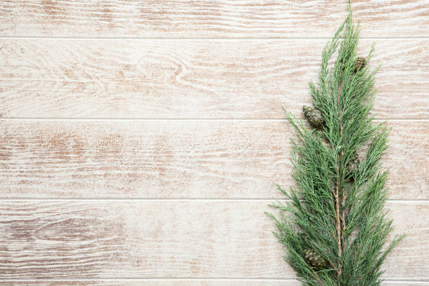 istock Christmas cypress branches border on a wooden background 1175059428