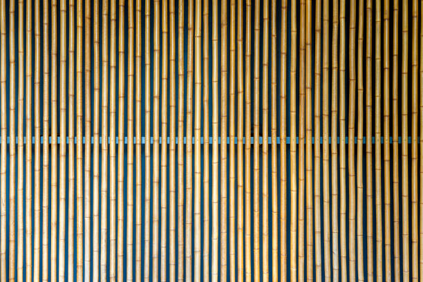 Texture of Yellow Bamboo Wall. Decoration Facade Made from Bamboo.