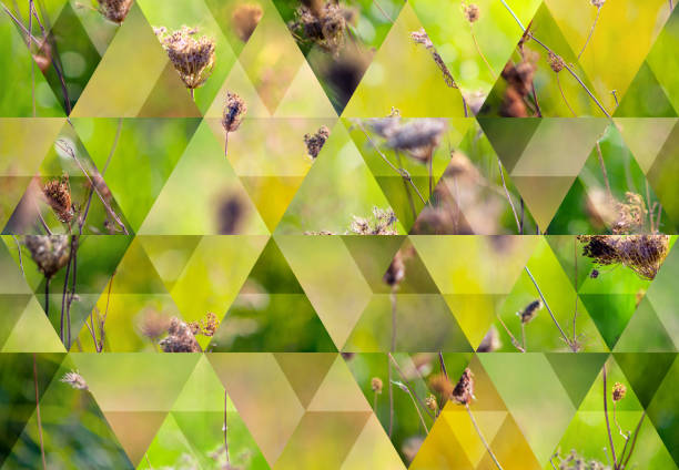 istock Abstract triangle mosaic background: Mediterranean plants background 1175060977
