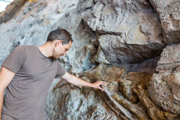 hombre tocando huesos en la sala de exhibición del centro de visitantes de quarry en dinosaur national monument park of fossils on wall in utah - human vertebra fotos fotografías e imágenes de stock