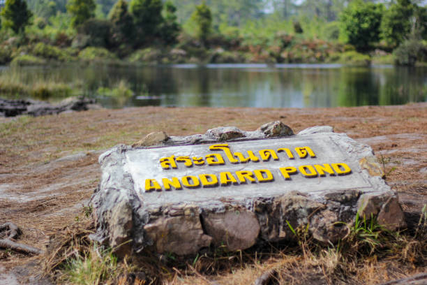 istock Phu Kradueng National Park. 1175063696