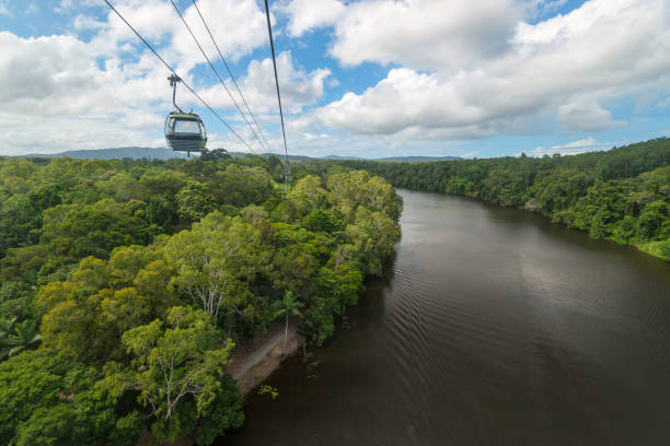 Kuranda Bird World, view from Skyrail rainforest cableway, Queensland, Australia Cableway over a picturesque rainforest and calm river surface against a blue sky with white clouds cairns australia photos stock pictures, royalty-free photos & images