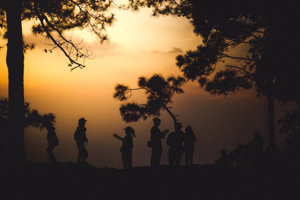 istock Evening view at Lom Sak Cliff - Phu Kradueng National Park. 1175064167