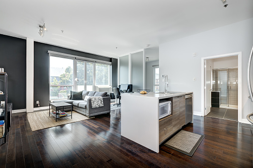 Full set of modern staged condominium in Montreal, Canada