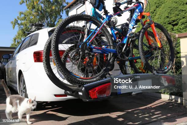 Mountainbikes Op De Achterste Fietsenrek Stockfoto en meer beelden van Auto - Auto, Fiets, Fietsen
