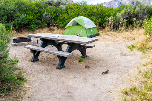 Campsite with tent and picnic table with grill on Green River Camground in Dinosaur National Monument Park with ground squirrels