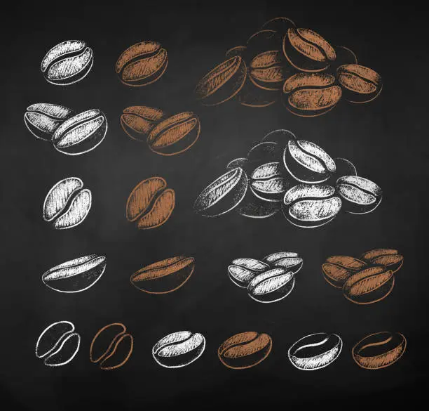 Vector illustration of Vector chalk sketches set of coffee beans