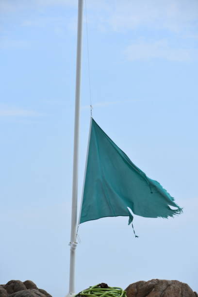 istock Green flag isolated waving on the sky 1175070812