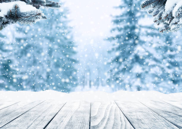 istock Winter landscape with snow and christmas trees. 1175075529
