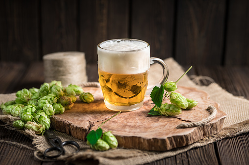 Fresh beer brewed with the traditional method of hops. A pint of beer on a wooden tray on a rustic wooden background with cut cones of freshly picked hops.