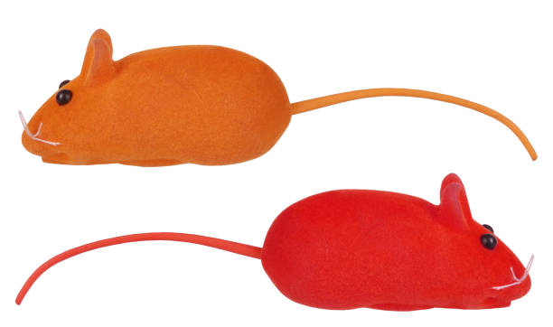istock Mouse colorful toys for cats pets 1175076036