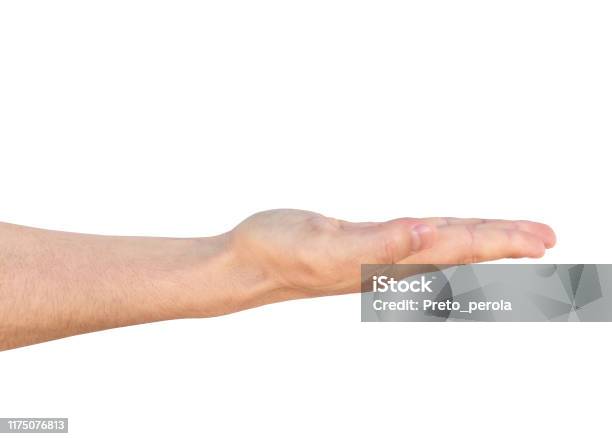 Empty Man Hand Sign Isolated On White Background Stock Photo - Download Image Now - Men, Palm of Hand, A Helping Hand