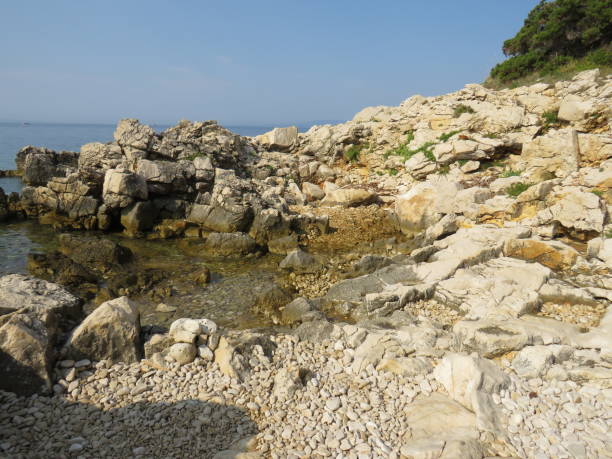 istock coastlines, rocks on the beach, rab, croatia 1175077313