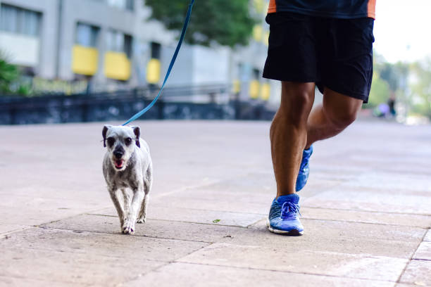 istock Young man running  in the park with his dog 1175078612