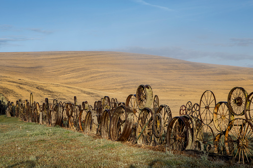 An early morning photo of the Artisan fence in the palouse region of eastern Washington.