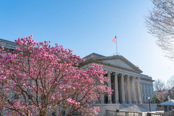 the treasury building during the national cherry blossom festival, washington dc, usa - us treasury department imagens e fotografias de stock