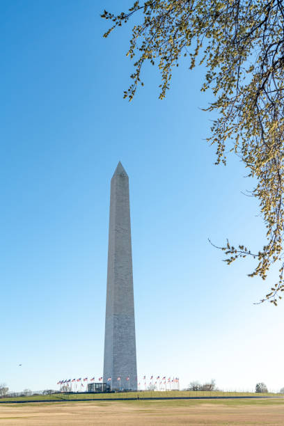 podczas narodowego festiwalu kwitnącej wiśni, washington monument w waszyngtonie, usa - washington dc monument sky famous place zdjęcia i obrazy z banku zdjęć