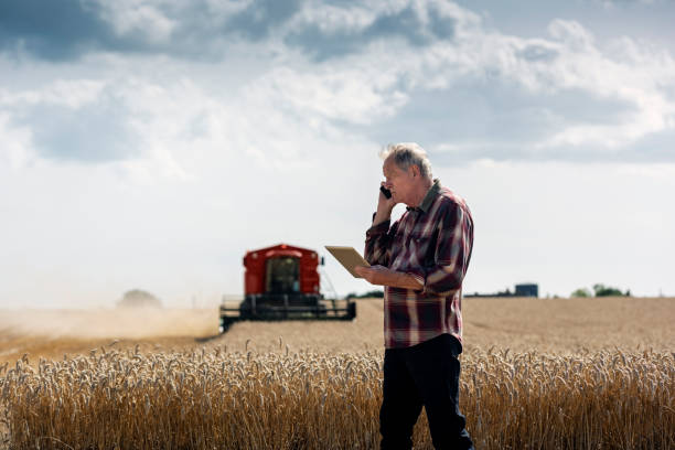 farmer controlla il suo campo di grano. - wireless technology holding caucasian one person foto e immagini stock