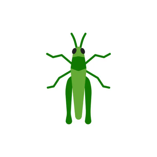 Vector illustration of Grasshopper insect cricket single flat vector icon