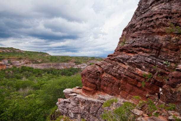 istock Serra da Capivara National Park 1175084945