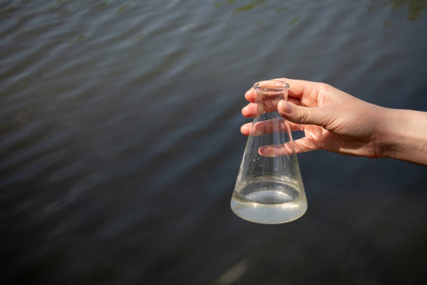 water purity hand holding test tube for analyses with water on the background of the reservoir, the concept of water purity, pollution of water bodies, checking the quality of drinking water in cities, environmental vibrio stock pictures, royalty-free photos & images