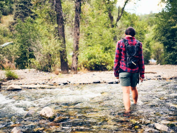 istock Woman Hiker in the Wilderness 1175089045