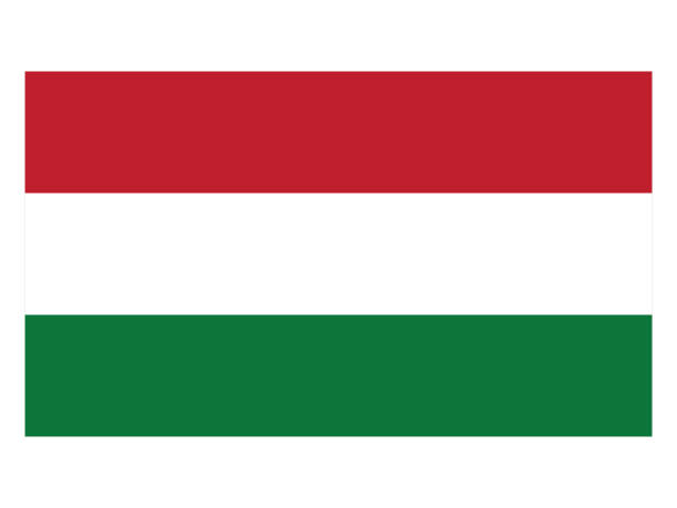 ilustraciones, imágenes clip art, dibujos animados e iconos de stock de bandera de hungría - hungary flag banner dirty