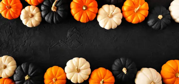 Photo of Autumn pumpkin double border banner in Halloween colors orange, black and white against a black background