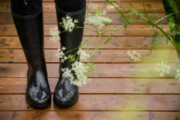 Closeup of woman's feet in black rubber boots on a wet wooden bridge in the park. Rain.