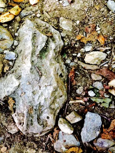 Stone detail in hiking pathway