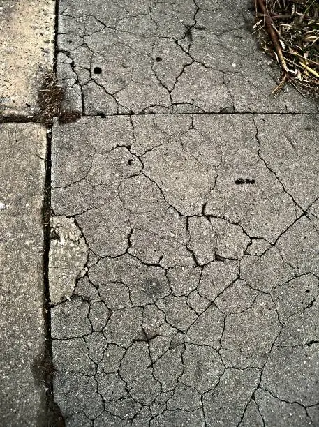 Textured detail of cracked sidewalk