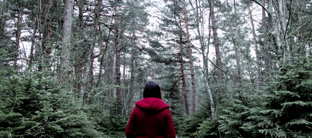 istock Woman in Red in Forest Alone 1175095910