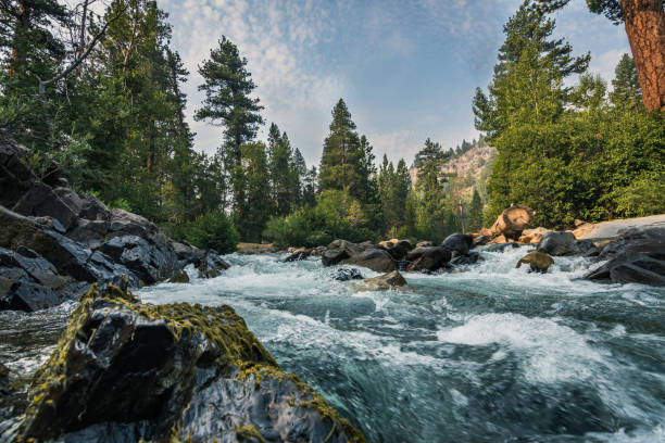 スタニスラウスの森 - stanislaus national forest ストックフォトと画像