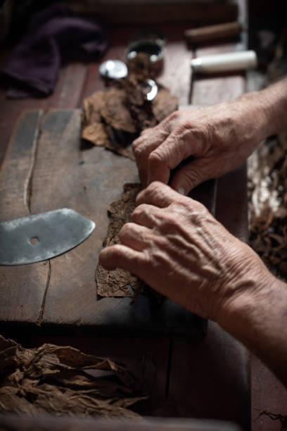 istock Cigar rolling or making by supporter in Cuba, Pinar del Rio province 1175104185