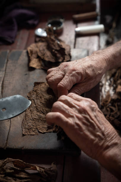 istock Cigar rolling or making by supporter in Cuba, Pinar del Rio province 1175104284