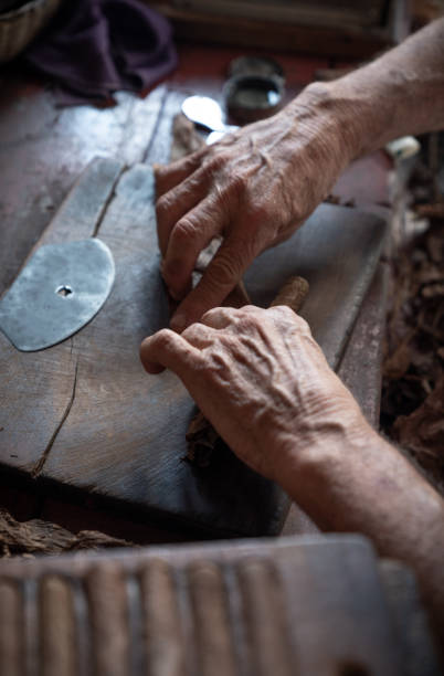 istock Cigar rolling or making by supporter in Cuba, Pinar del Rio province 1175104304