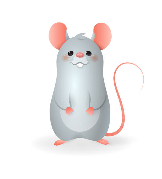 Cute Little Rat Vector Illustration Cartoon Style Isolated On Transparent  Background Stock Illustration - Download Image Now - iStock