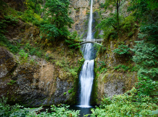 istock Multnomah Falls Scenic Travel Destination Oregon USA 1175106290